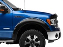 WeatherTech FORD F-150 Stone &amp; Bug Deflector ( 2009 - 2014 )