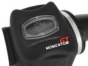 Afe Power Momentum GT Pro DRY S Cold Air Intake System - Silverado/Sierra 1500 ( 2014 - 2018 )