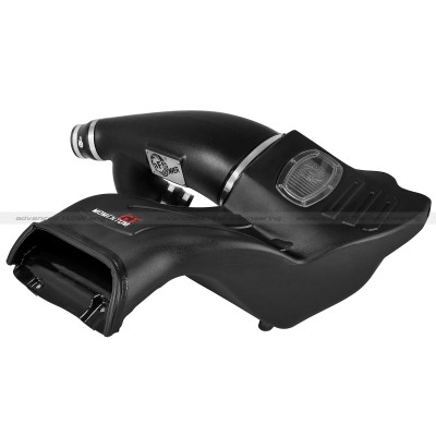 aFe Power Momentum GT Pro DRY S Stage-2 Intake System - Ford F-150 EcoBoost V6-2.7L/3.5L ( 2015 - 2020 ) 